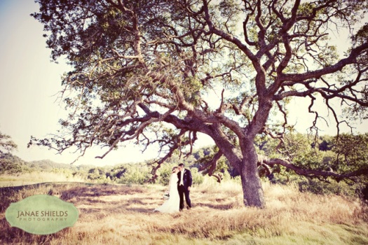 Wedding at Cinnabar Hills