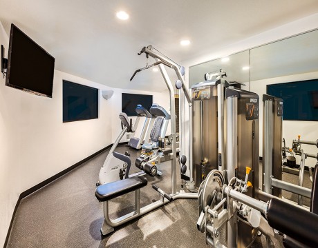 Holiday Inn Express and Suites MH - Fitness Center Equipment